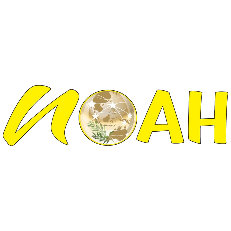 PT Noah Logistik Freight forwarder profesional jakarta indonesia
